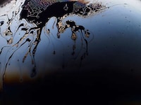 Planet-Like Bubble Photography (UPDATE) Image 5