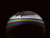 Planet-Like Bubble Photography (UPDATE) Image 8