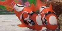 Robotic Aquatic Creatures Image 3
