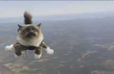 Parachuting Cat Commercials