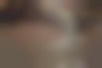 Elaborate Robot Hoaxes Image 1