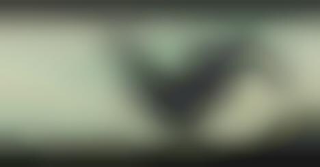 Surreal Woodland Films