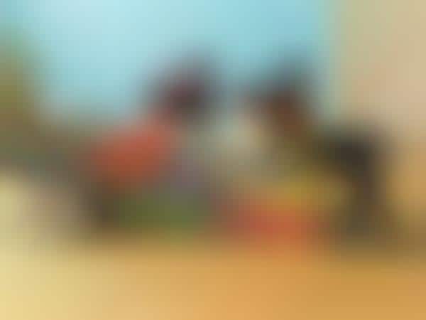 Building Block Cameras