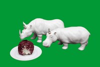 Beastly Porcelain Tableware Image 8