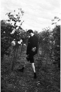 Moody Garden Photgraphy Image 4