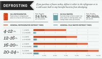 Turkey Roasting Infographics Image 2