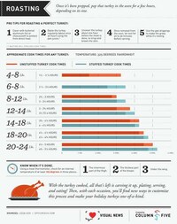 Turkey Roasting Infographics Image 4
