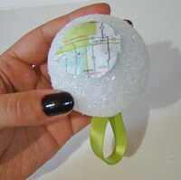 Cartogram-Themed Ornaments Image 6