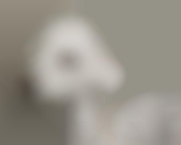 Depressing Dog Depictions