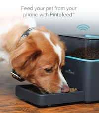 Automated Pet Feeders Image 4