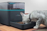 Automated Pet Feeders Image 6