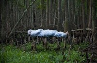 Suspended Cocooned Portraits Image 4