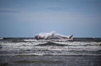 Suspended Cocooned Portraits Image 6