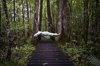 Suspended Cocooned Portraits Image 7