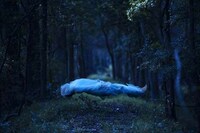 Suspended Cocooned Portraits Image 8