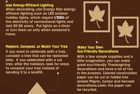 Holiday Waste-Reducing Infographics Image 6