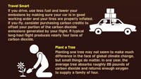 Holiday Waste-Reducing Infographics Image 8