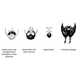 Bearded Identification Charts Image 3