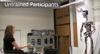 Interactively Playful Robots Image 2