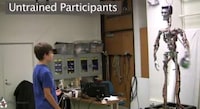 Interactively Playful Robots Image 3