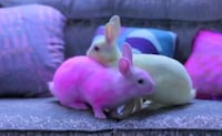 Fabric-Specific Fashion Films Image 5