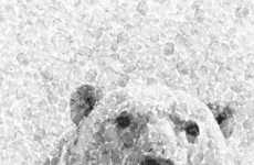 Thumbprint Bear Portraits