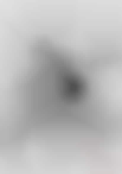 Thumbprint Bear Portraits