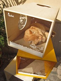 Modular Kitty Boxes Image 2