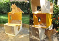 Modular Kitty Boxes Image 3
