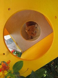 Modular Kitty Boxes Image 4