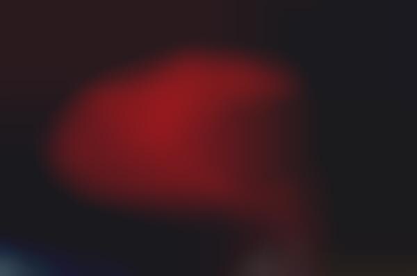Webbed Bridge Installations
