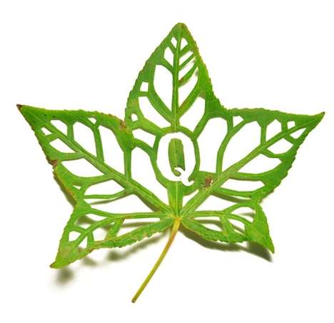 Cut-Out Foliage Fonts