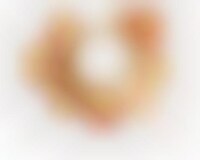 Ornamental Charm Jewelry Image 1