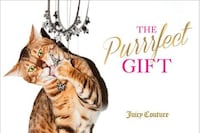 Dazzling Cat Modeling Campaigns Image 8