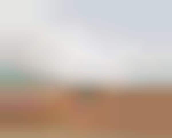 Desolate Landscape Portraitures