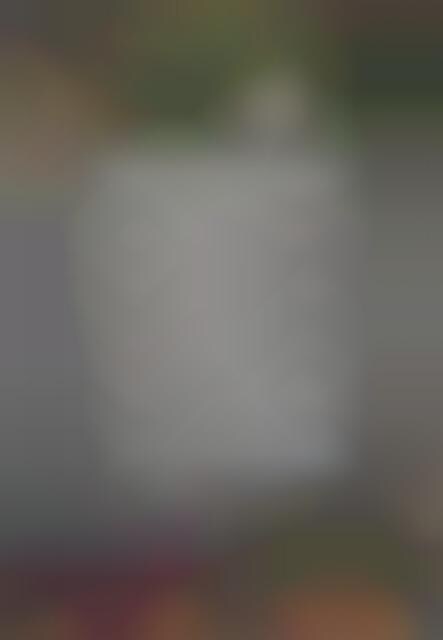 Diguised Album Photography