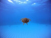 Stunning Worldly Photos Image 6