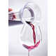 Wine-Sealing Decanters  Image 2