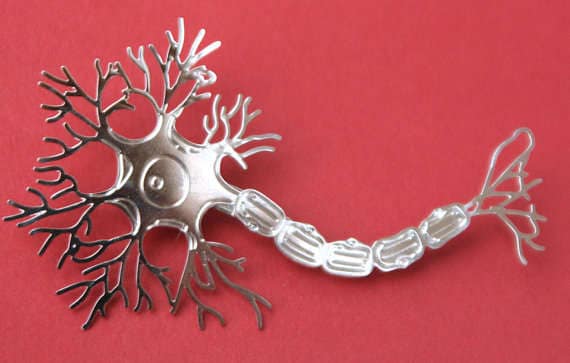 Scientific Anatomy Holiday Decor