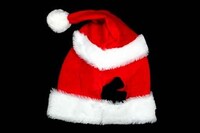Avian Holiday Hats Image 2