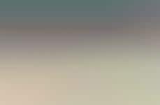 Hollywood-Inspired Management Principles