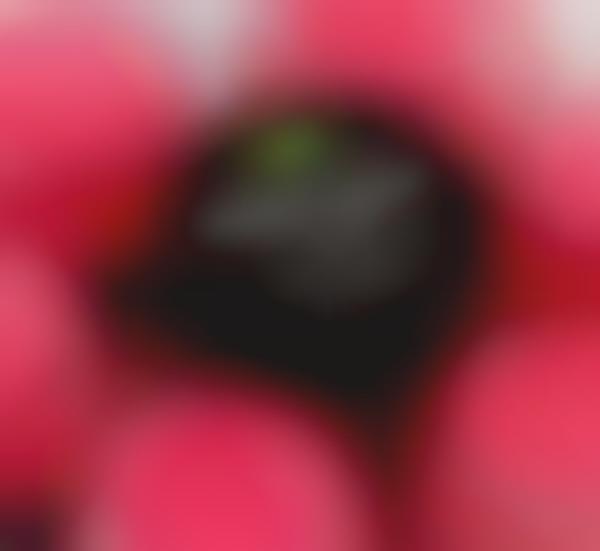 Organic Lip Polishes