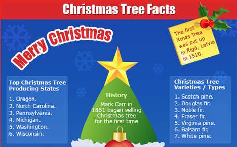 Holiday Tree Infographics