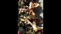 Fake Fashion Pose Pictures Image 2