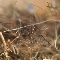 Microscopic Snowflake Pictures Image 3