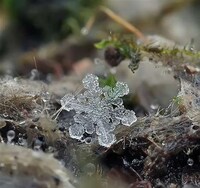 Microscopic Snowflake Pictures Image 7