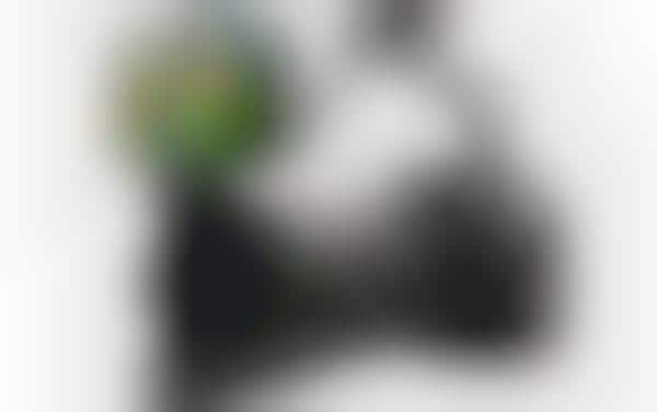 Child-Capturing Camera Clips