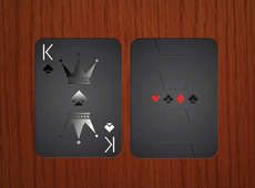 Bomber Jet Playing Cards : stealth playing cards