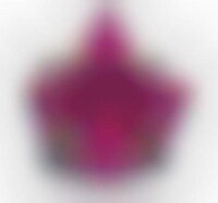 Technicolor Ionized Jewelry Image 1