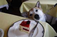 Canine-Friendly Christmas Cakes